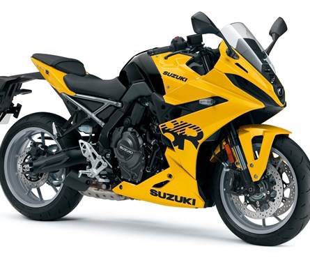Neumotorrad Suzuki GSX-8R