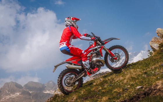 Neufahrzeug Beta Xtrainer 300 - Bild 8