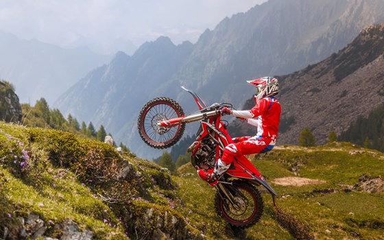 Neufahrzeug Beta Xtrainer 250 - Bild 9