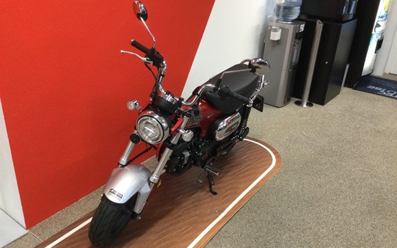 Gebrauchtmotorrad Honda Dax 125 - Bild 3