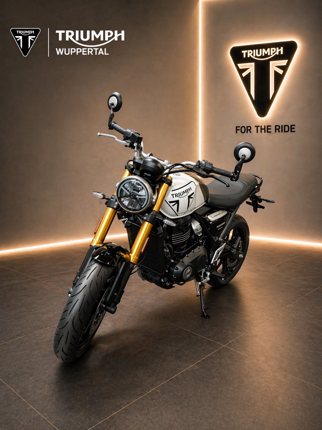 Triumph Speed 400<br />