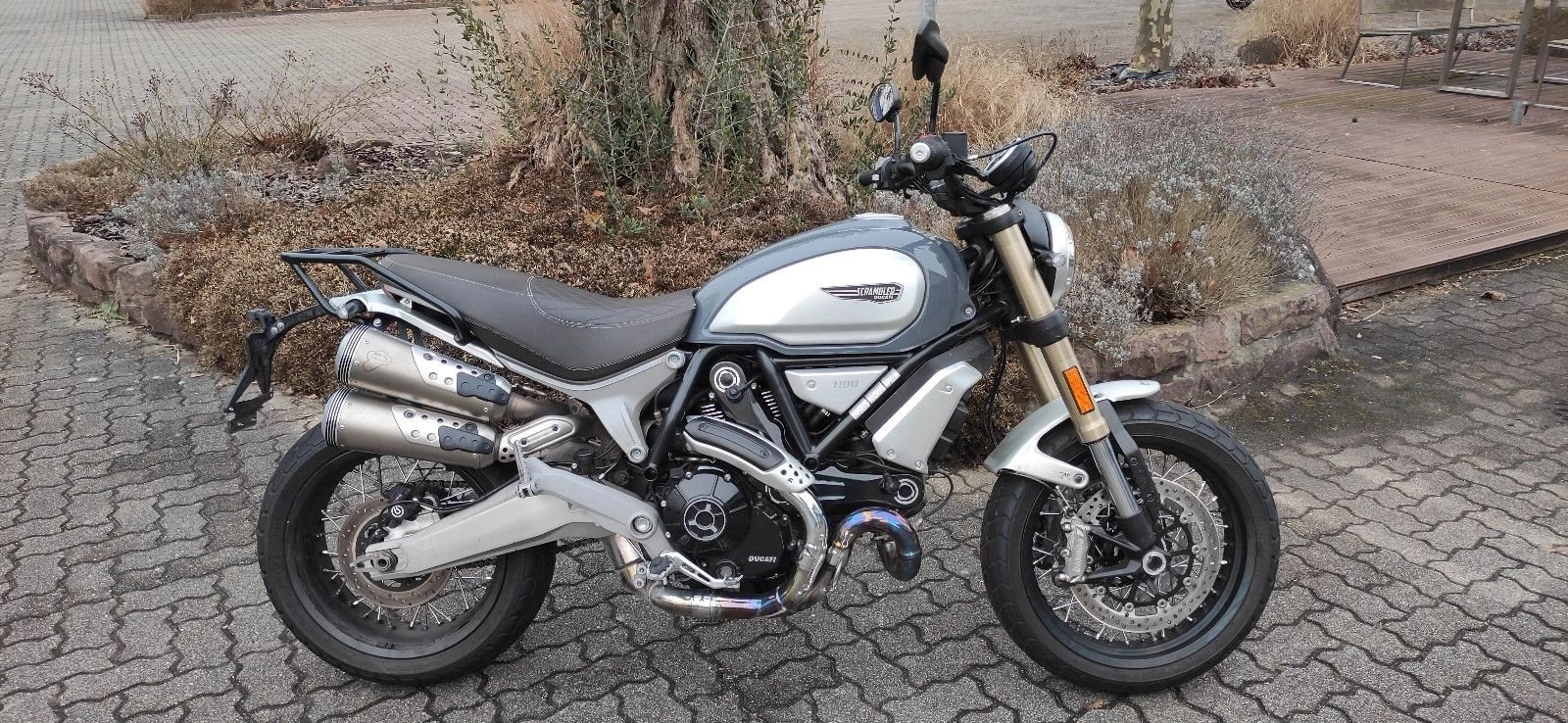 Ducati Scrambler 1100 Special