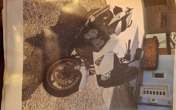 Gebrauchtmotorrad Honda CBF 600 S - Bild 5