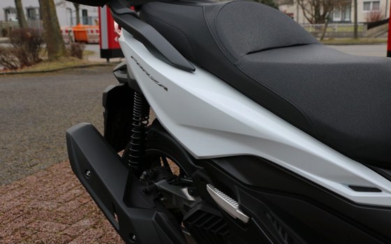 Gebrauchtmotorrad Honda Forza 125 - Bild 7