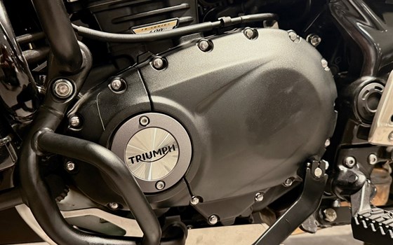 Gebrauchtmotorrad Triumph Scrambler 400 X - Bild 14