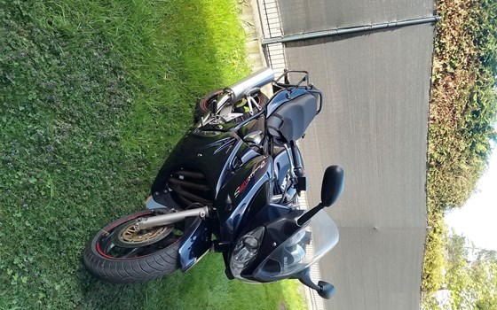 Gebrauchtmotorrad Suzuki Bandit 1200S - Bild 7