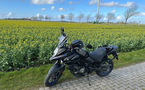 Gebrauchtmotorrad Suzuki V-Strom 650 XT - Bild 4