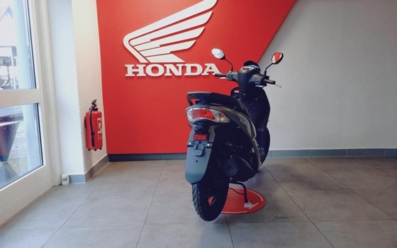 Neufahrzeug Sym Symphony 50 - Bild 1