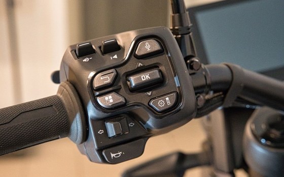 Neufahrzeug Can-Am Origin - Bild 16