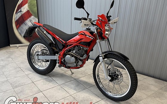 Neufahrzeug Beta Alp 200 - Bild 1