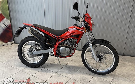 Neufahrzeug Beta Alp 200 - Bild 3