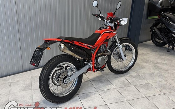 Neufahrzeug Beta Alp 200 - Bild 4