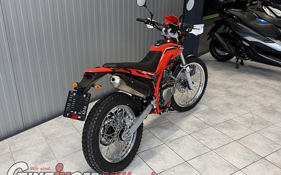 Neufahrzeug Beta Alp 200 - Bild 7