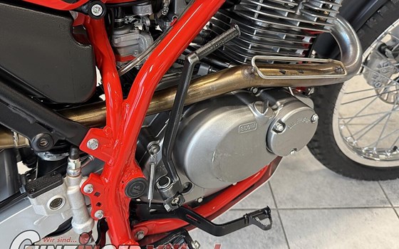 Neufahrzeug Beta Alp 200 - Bild 8