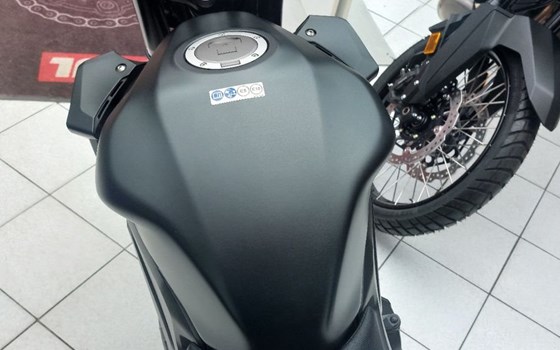 Gebrauchtmotorrad Honda CB500 Hornet - Bild 4