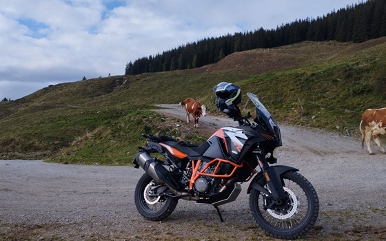 Gebrauchtmotorrad KTM 1290 Super Adventure R - Bild 4
