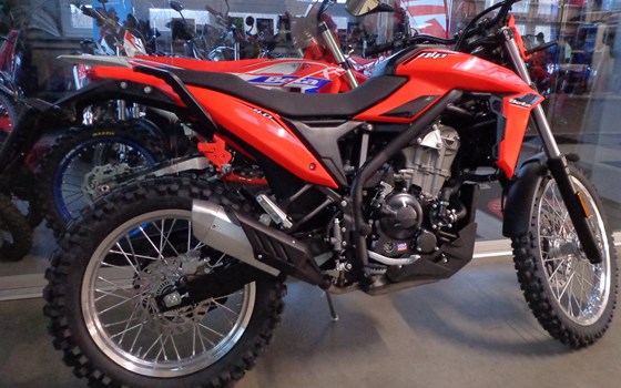 Neufahrzeug Beta Alp 4.0 - Bild 2