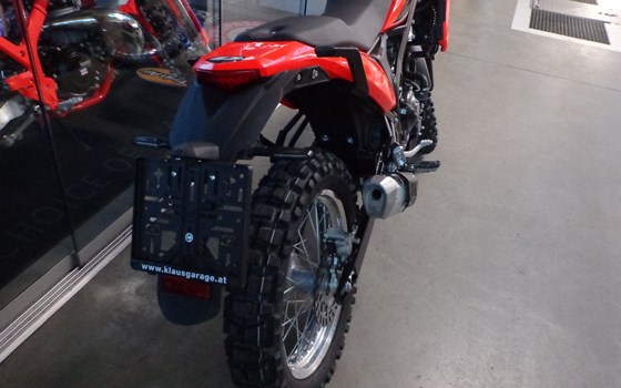 Neufahrzeug Beta Alp 4.0 - Bild 5