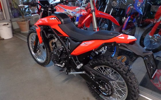 Neufahrzeug Beta Alp 4.0 - Bild 7