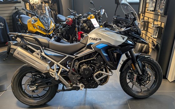 Neufahrzeug Triumph Tiger 900 Alpine Edition - Bild 1