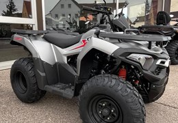 Neumotorrad Loncin Desert Storm 250