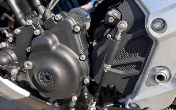 Neufahrzeug Zontes 703-RR - Bild 4