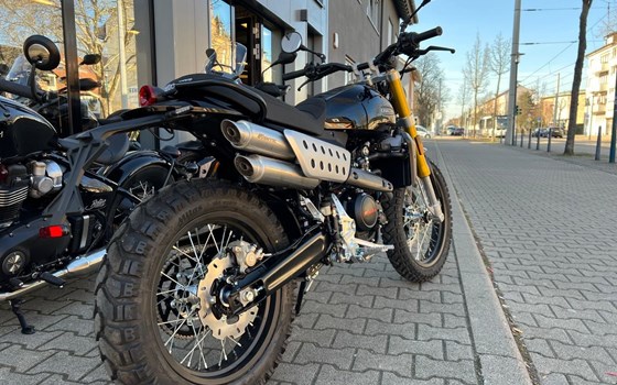 Neufahrzeug Fantic Caballero Scrambler 125 - Bild 4