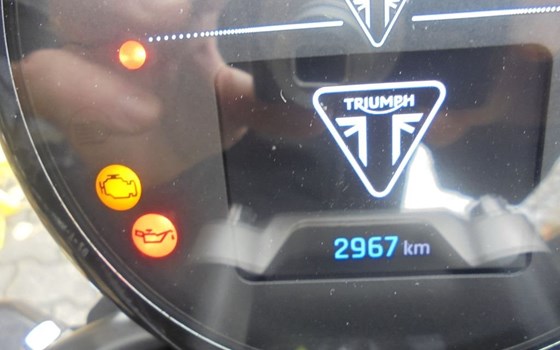 Gebrauchtmotorrad Triumph Trident 660 - Bild 10