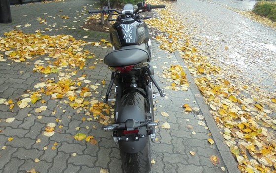 Gebrauchtmotorrad Triumph Trident 660 - Bild 4