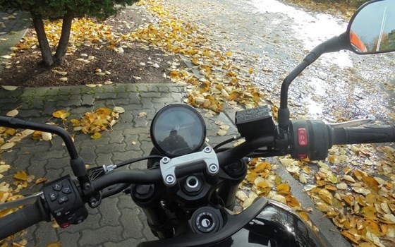 Gebrauchtmotorrad Triumph Trident 660 - Bild 9