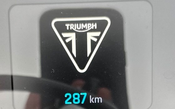 Gebrauchtmotorrad Triumph Daytona 660 - Bild 5