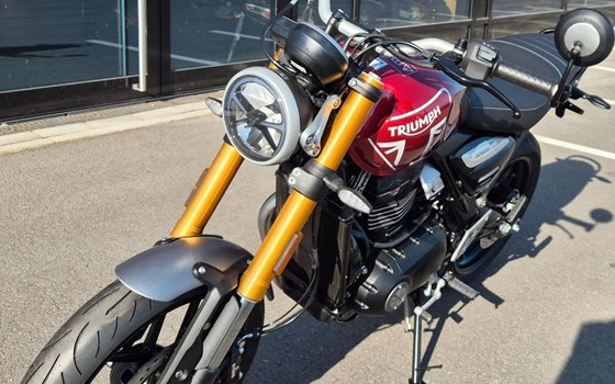 Gebrauchtmotorrad Triumph Speed 400 - Bild 2