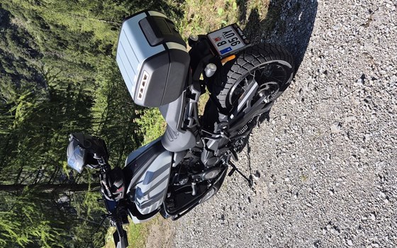 Gebrauchtmotorrad Harley-Davidson Pan America 1250 Special - Bild 6