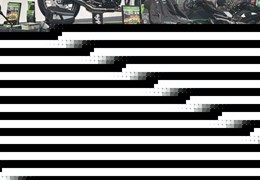 Neumotorrad Kawasaki Z650 RS