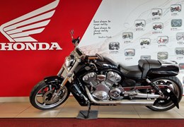 Gebrauchte Harley-Davidson V-Rod Muscle VRSCF