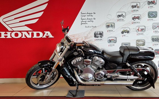 Gebrauchtmotorrad Harley-Davidson V-Rod Muscle VRSCF - Bild 1