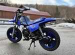 Angebot Yamaha PW50