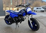 Angebot Yamaha PW50