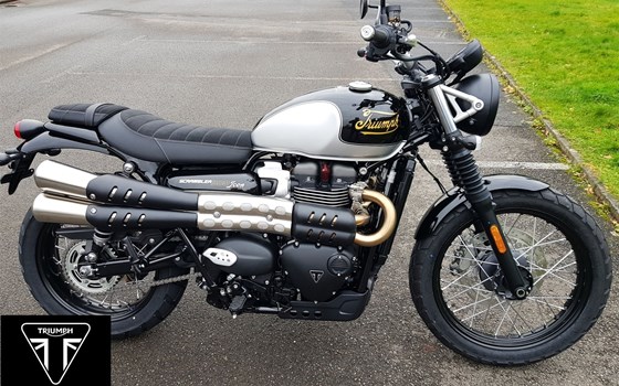 Neufahrzeug Triumph Scrambler 900 - Bild 1