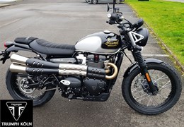 Neumotorrad Triumph Scrambler 900