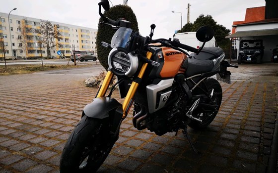 Neufahrzeug Suzuki GSX-8T - Bild 3