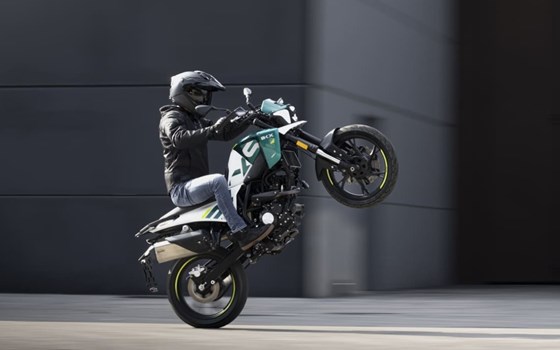 Neufahrzeug Benelli BKX 125 S - Bild 7