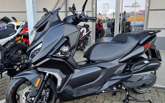 Neufahrzeug QJ Motor Fort 4.0 - Bild 1