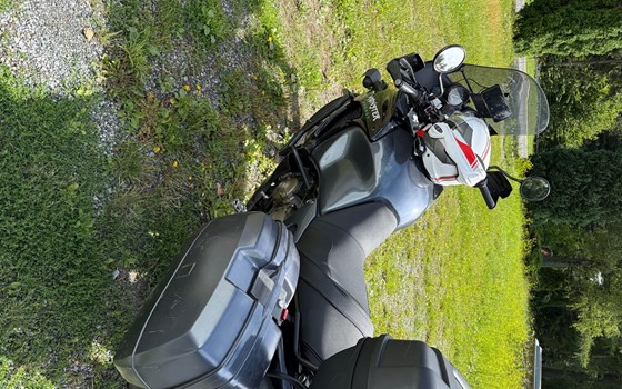 Gebrauchtmotorrad Honda XL 1000 V Varadero - Bild 3