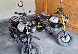 Gebrauchte Honda Monkey 125