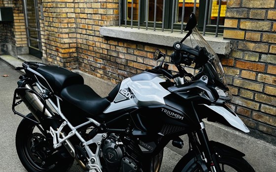 Motorrad Occasion Triumph Tiger 1200 GT PRO - Bild 6