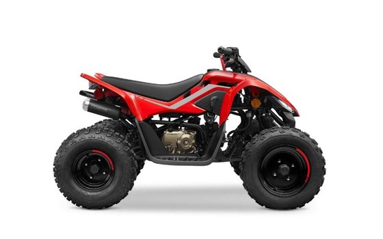 Neufahrzeug CFMOTO CForce 110 - Bild 5