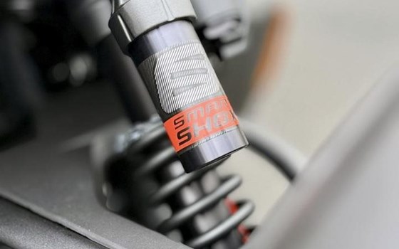 Gebrauchtmotorrad Can-Am CANYON REDROCK - Bild 4