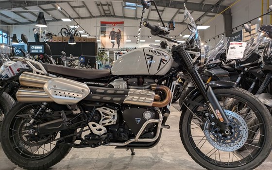 Gebrauchtmotorrad Triumph Scrambler 1200 X - Bild 1