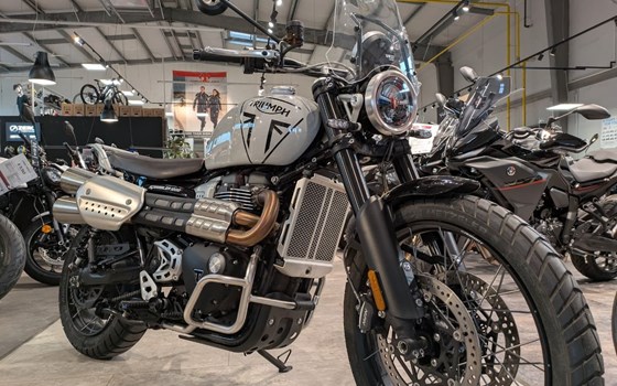 Gebrauchtmotorrad Triumph Scrambler 1200 X - Bild 4